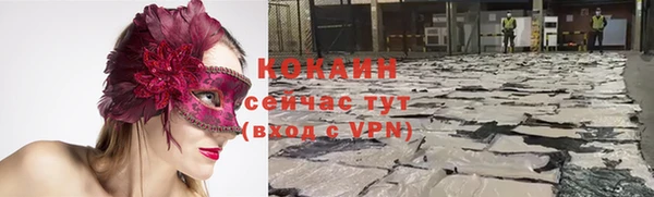шишки Майский