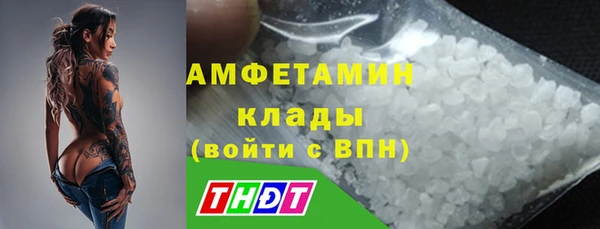 шишки Майский