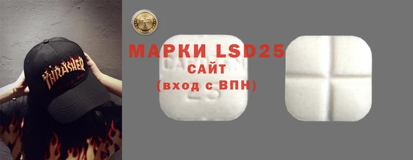 прущий лед Горняк