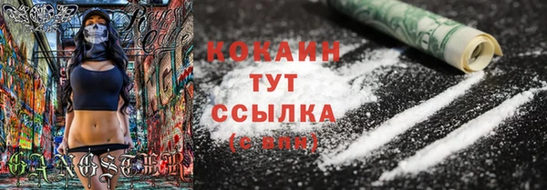 прущий лед Горняк