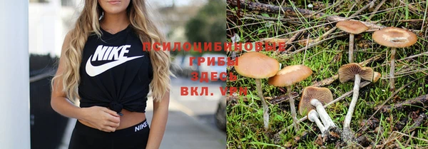прущий лед Горняк