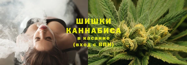 прущий лед Горняк